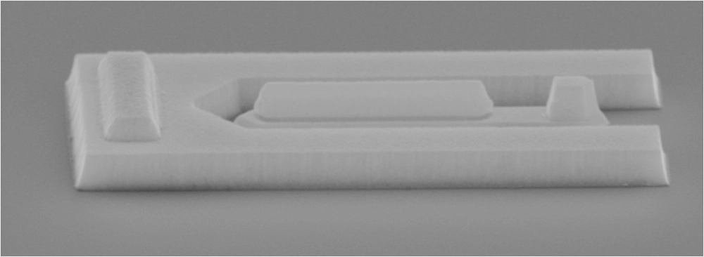 SEM photograph